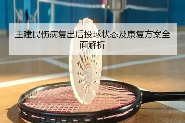 王建民伤病复出后投球状态及康复方案全面解析
